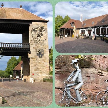 Willkommen In Unserem Kleinen Paradies Venningen エクステリア 写真