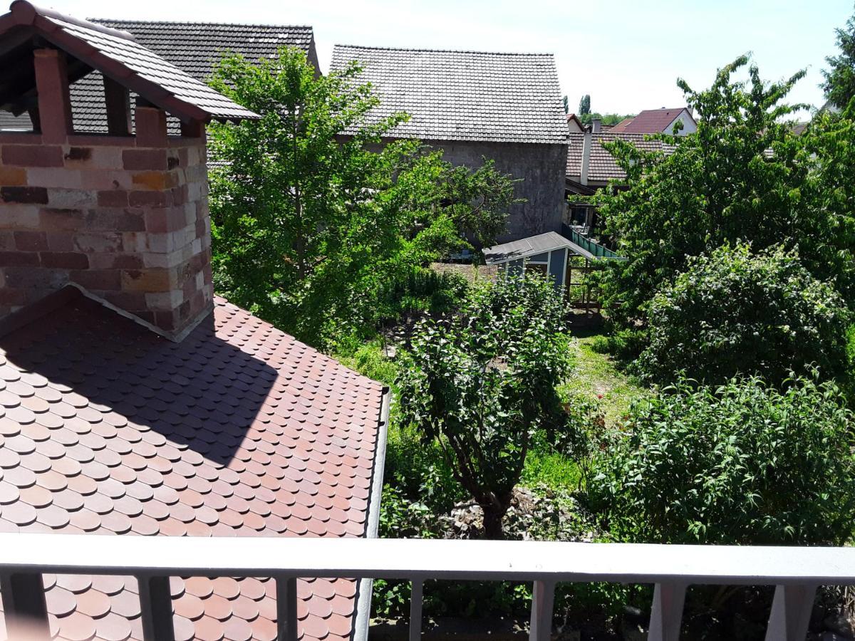 Willkommen In Unserem Kleinen Paradies Venningen エクステリア 写真