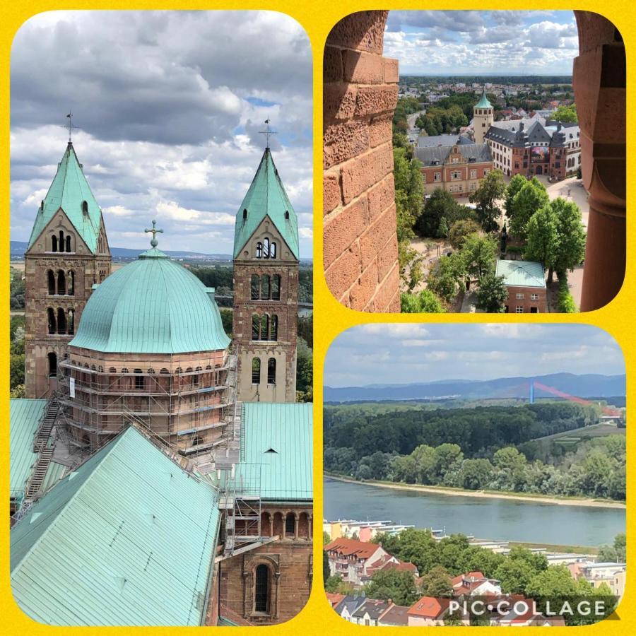 Willkommen In Unserem Kleinen Paradies Venningen エクステリア 写真